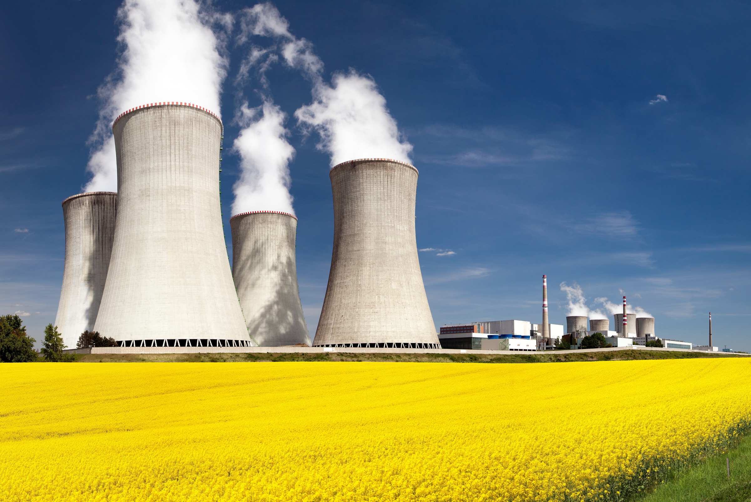 Nucleair en raapzaad: energieproductie in Tsjechië